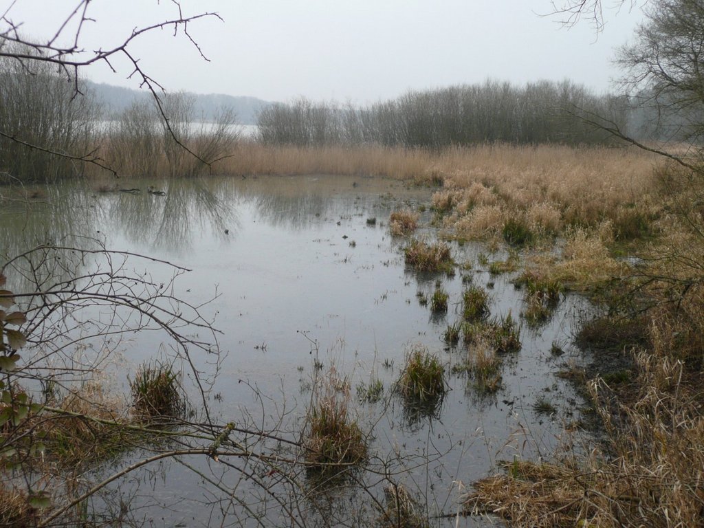 P1280492 [Résolution de l'écran]